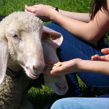 Hochsernerhof Tiefgraben