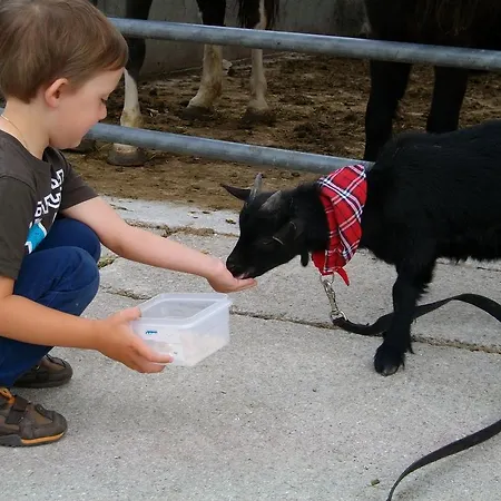 Κατάλυμα σε φάρμα Hochsernerhof Tiefgraben