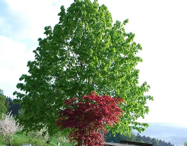 Lantgård Hochsernerhof Tiefgraben