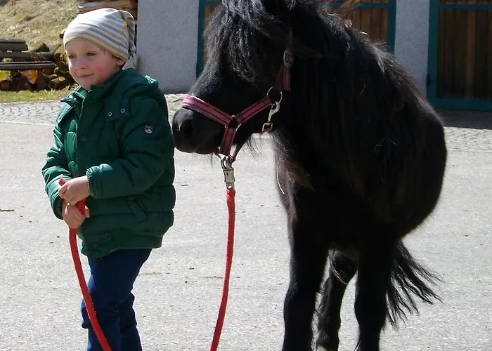 Hochsernerhof Lantgård *