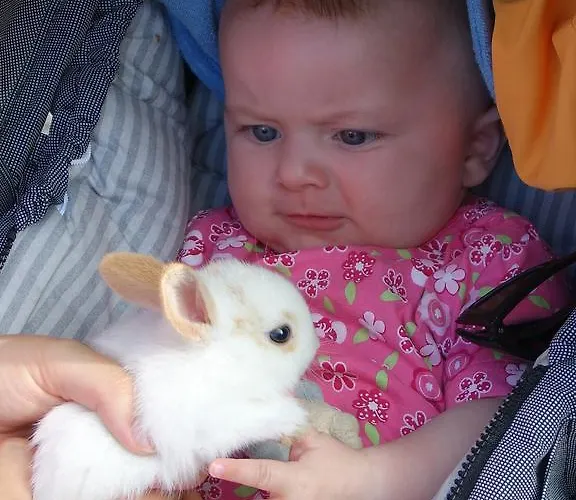 Lantgård Hochsernerhof