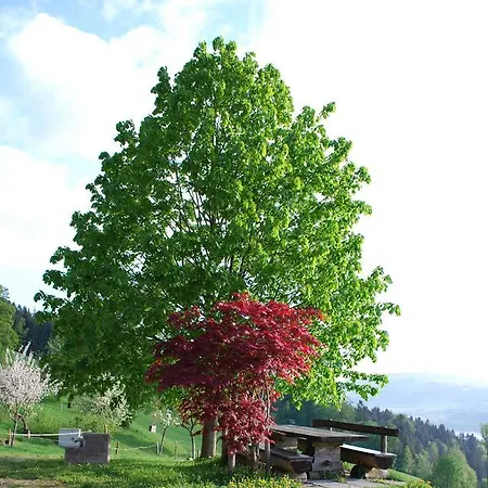 Farm stay Hochsernerhof Tiefgraben