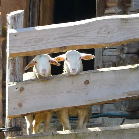 Hochsernerhof Farm stay