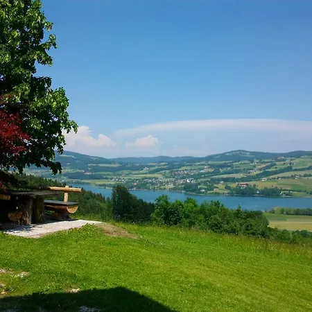 Farm stay Hochsernerhof Tiefgraben