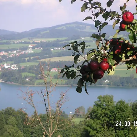 Farm stay Hochsernerhof Tiefgraben