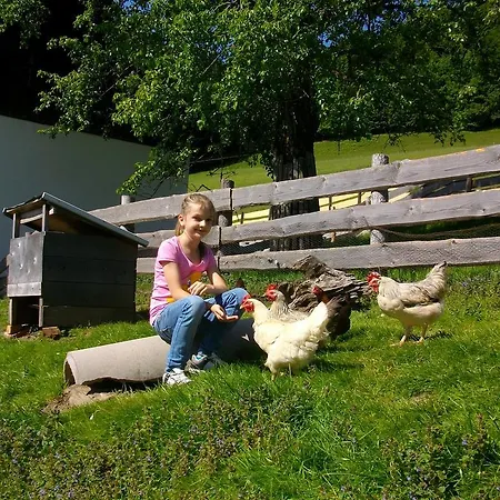 Hochsernerhof Farm stay *