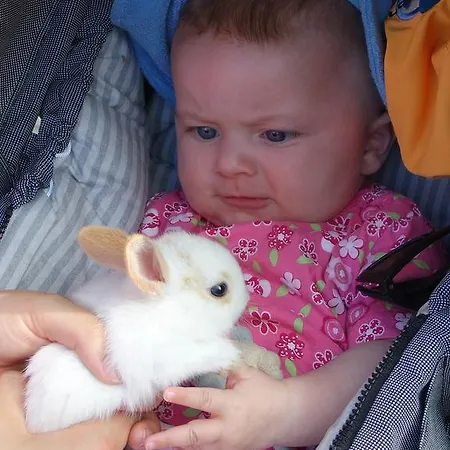 Agroturismo Hochsernerhof