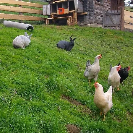 Hochsernerhof *