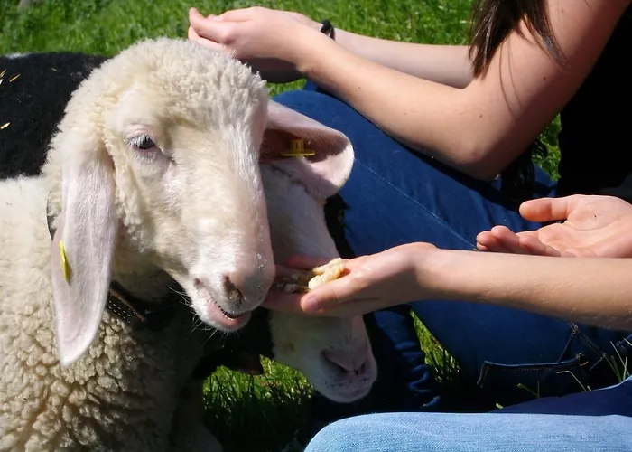 Hochsernerhof Tiefgraben