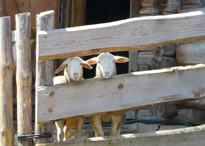 Hochsernerhof Gospodarstwo agroturystyczne