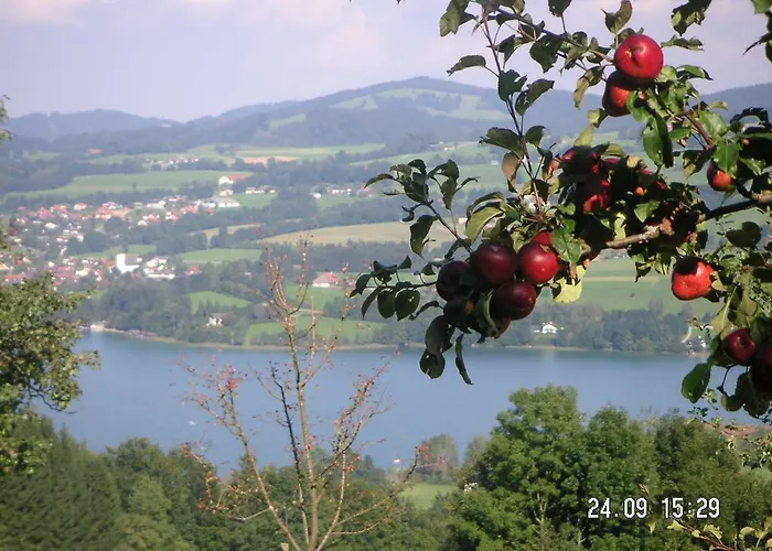 Gospodarstwo agroturystyczne Hochsernerhof Tiefgraben