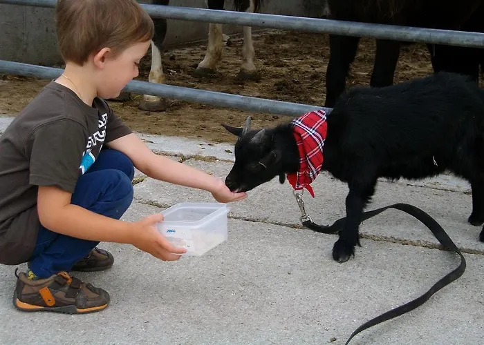Gospodarstwo agroturystyczne Hochsernerhof Tiefgraben